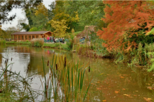 Bodenham Arboretum