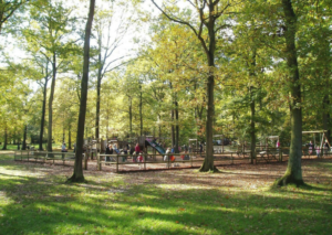 Queenswood Country Park & Arboretum